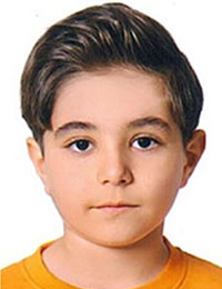 امیر ارسلان