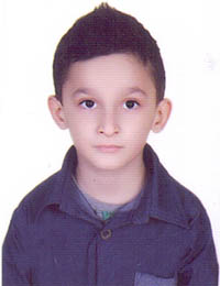 امیرحسین